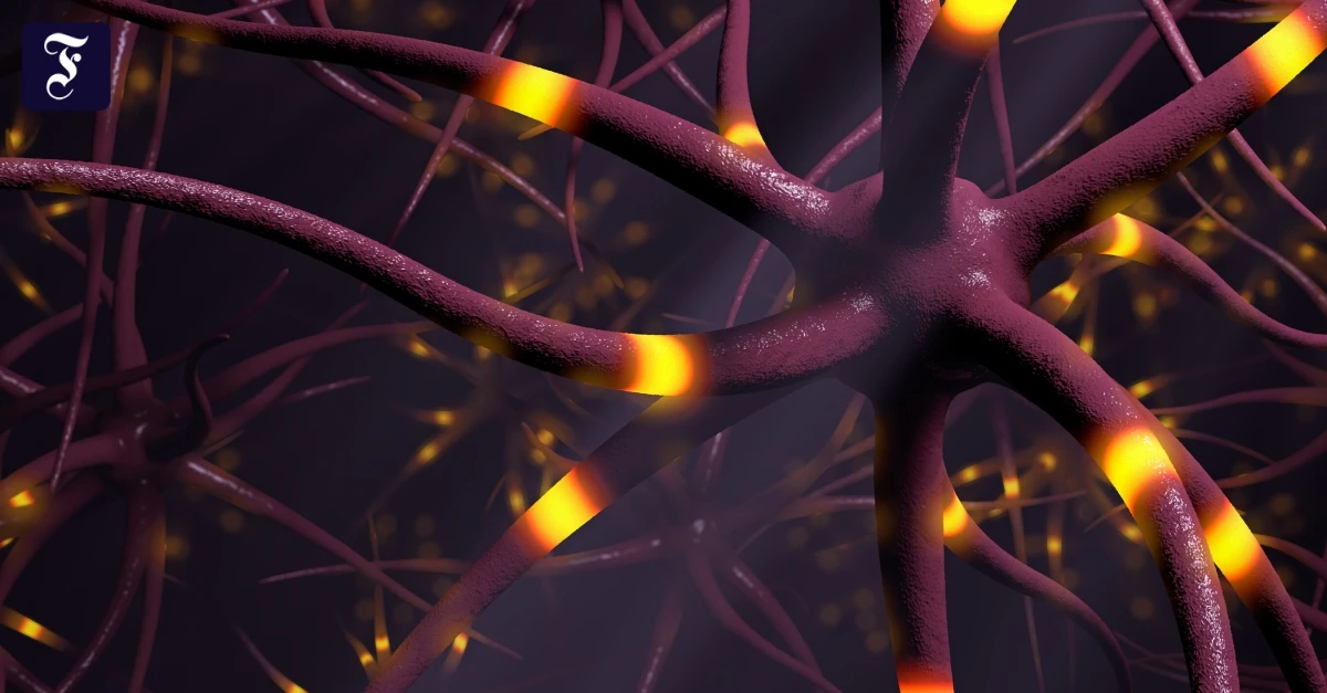 -Heiliger-Nerv-Wem-die-Vagus-Stimulation-hilft