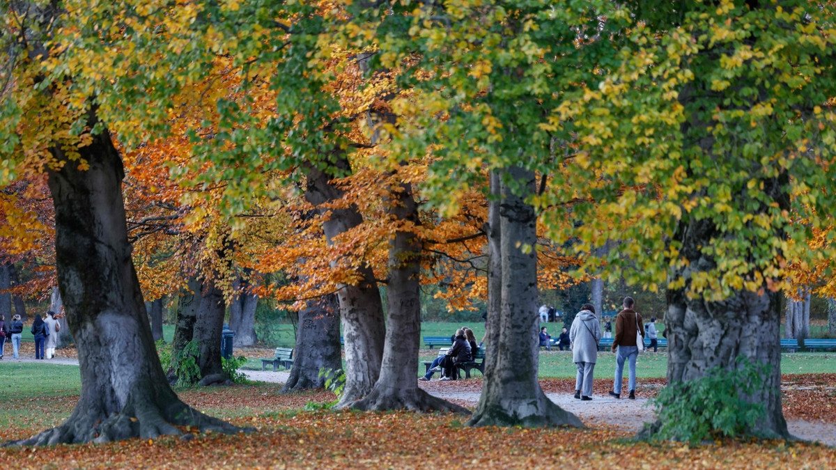 Cannabis-Konsum im Park: Gericht prüft Cannabis-Verbot im Englischen Garten Cannabis-Konsum im Park: Gericht prüft Cannabis-Verbot im Englischen Garten