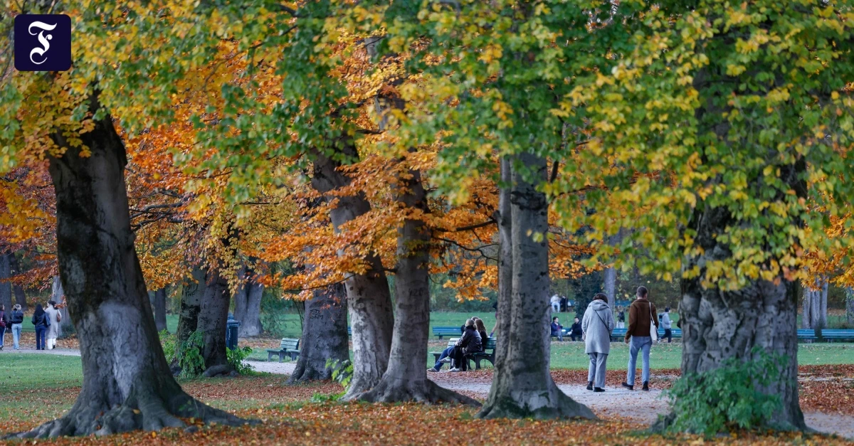 Cannabis-Konsum-im-Park-Gericht-pr-ft-Cannabis-Verbot-im-Englischen-Garten