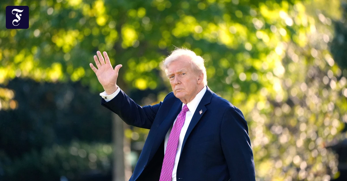 AfD will Trump zum Ehrenbürger von Bad Dürkheim machen