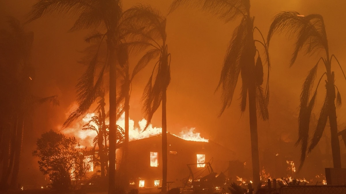 „Defekt“ an Stromleitung: USA verklagen Energieversorger nach Waldbrand