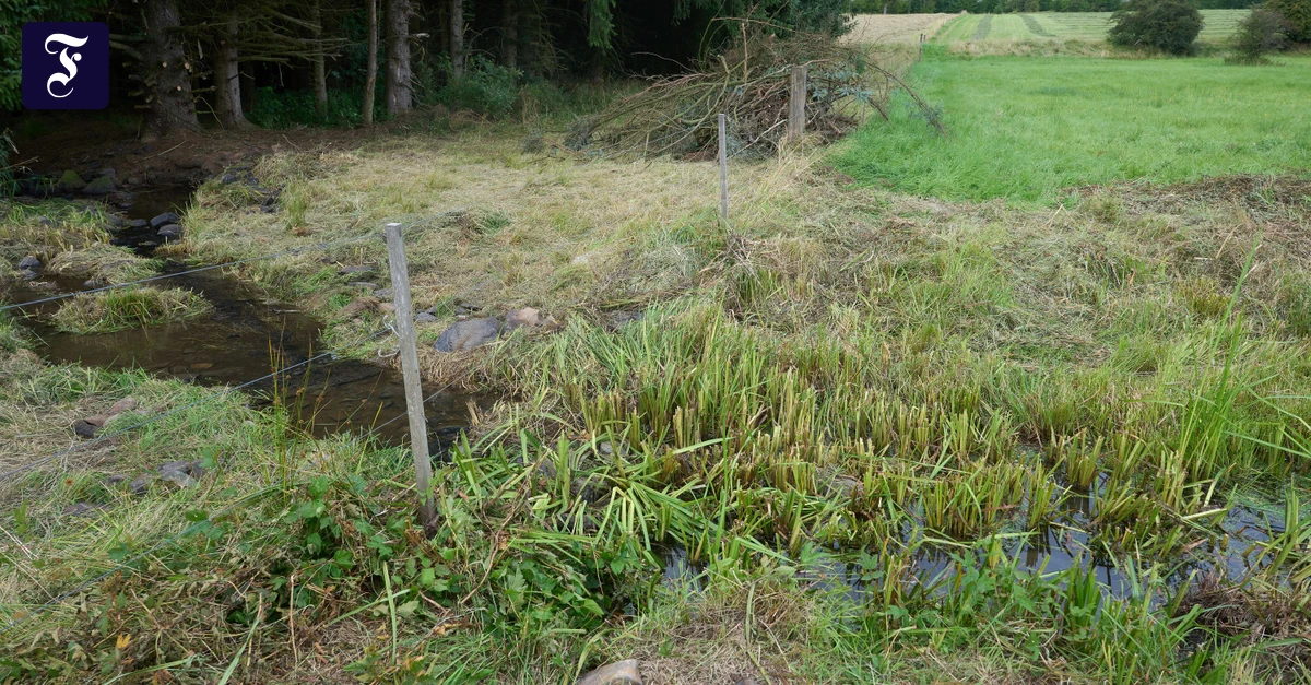 Tatverdächtiger von Weitefeld starb wohl in Betonrohr