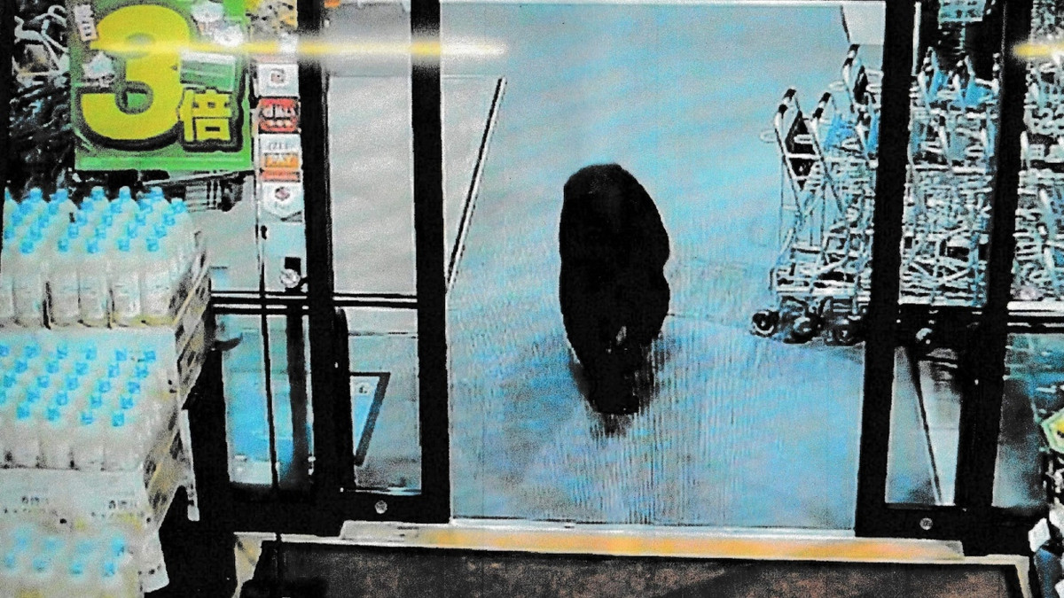 Fotos einer Überwachungskamera zeigen einen Bären in einem japanischen Supermarkt. - AFP