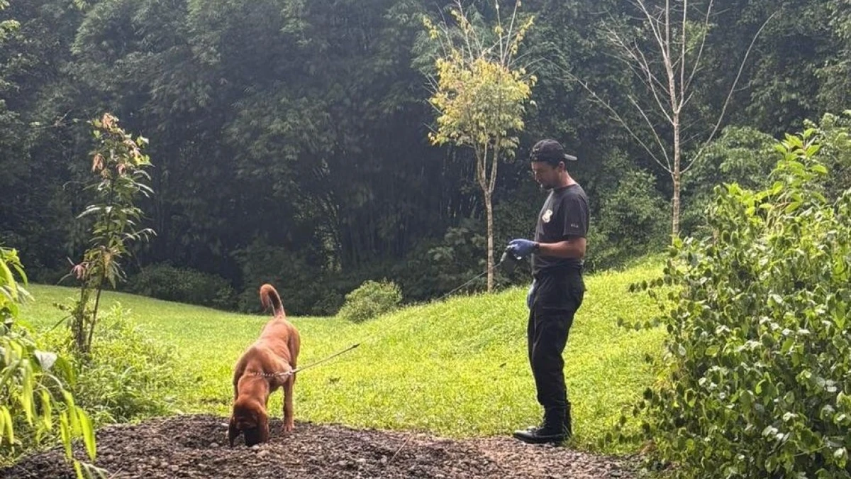 Im Garten vergraben: Deutscher und Österreicherin in Costa Rica getötet
