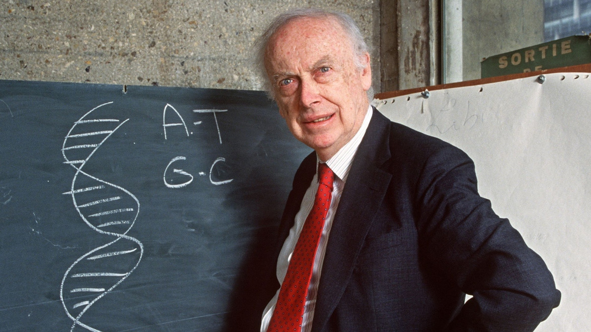 DNA-Pionier James Watson: Sein genetischer Traum vom glücklicheren Menschen DNA-Pionier James Watson: Sein genetischer Traum vom glücklicheren Menschen