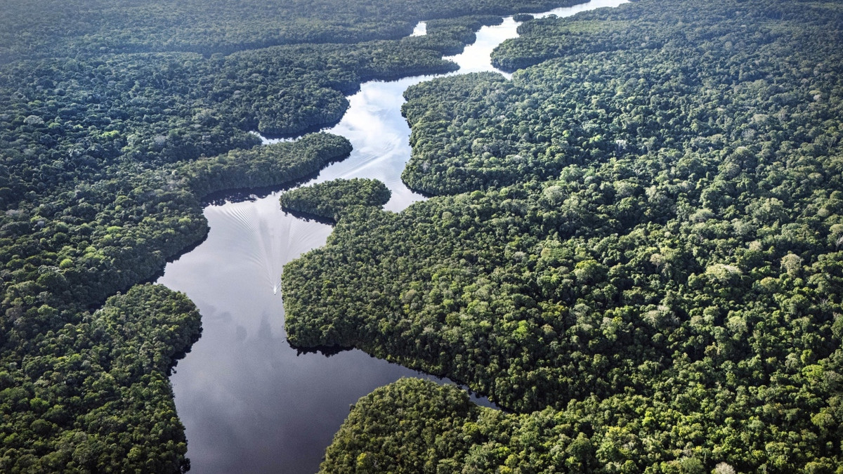 Klimakonferenz in Brasilien: Der neue Realismus in der deutschen Klimapolitik