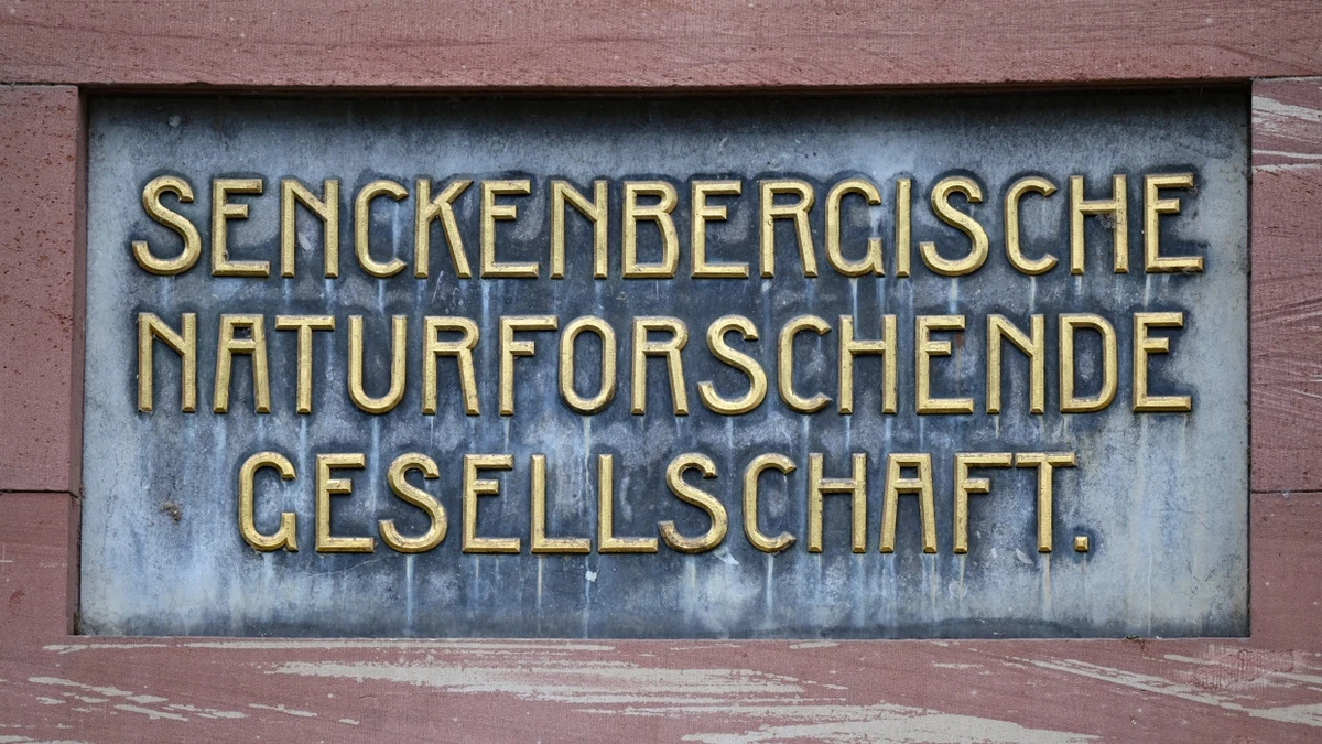 Reaktion auf US-Politik: Senckenberg stoppt Forschungsprojekte mit Wissenschaftlern in den USA