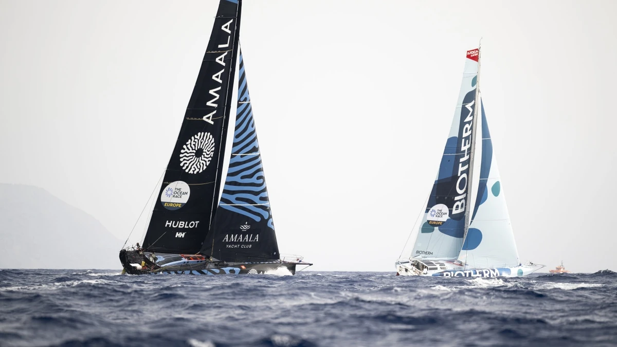 Uneinholbar: Die französische Biotherm-Crew (r.) war beim Ocean Race Europe das Maß aller Dinge. - dpa