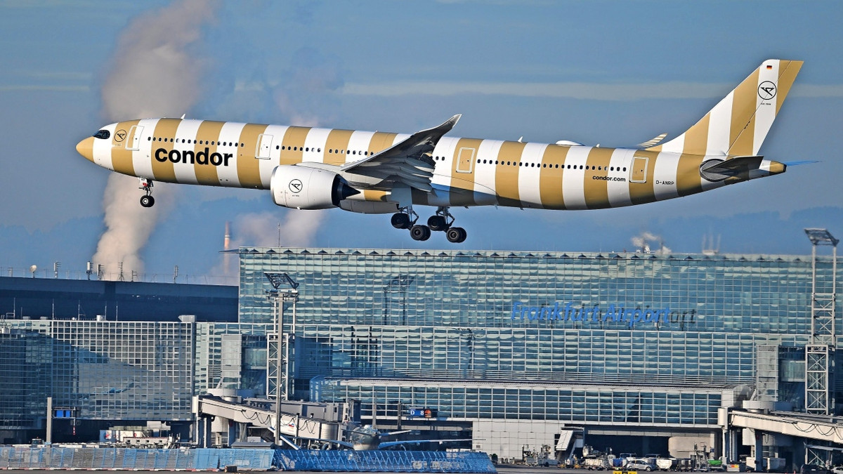 Fluggesellschaft: Partner für Condor gesucht