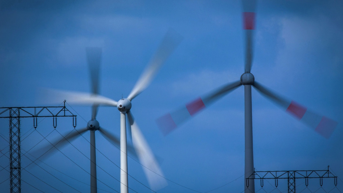 Drehflügler: Ende November stimmen Waldemser Bürger über einen Windpark im Steinfischbacher Wald ab - dpa