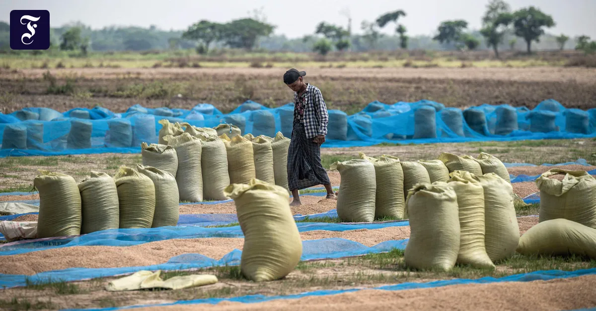 Hilfsorganisationen warnen vor Katastrophe in Myanmar