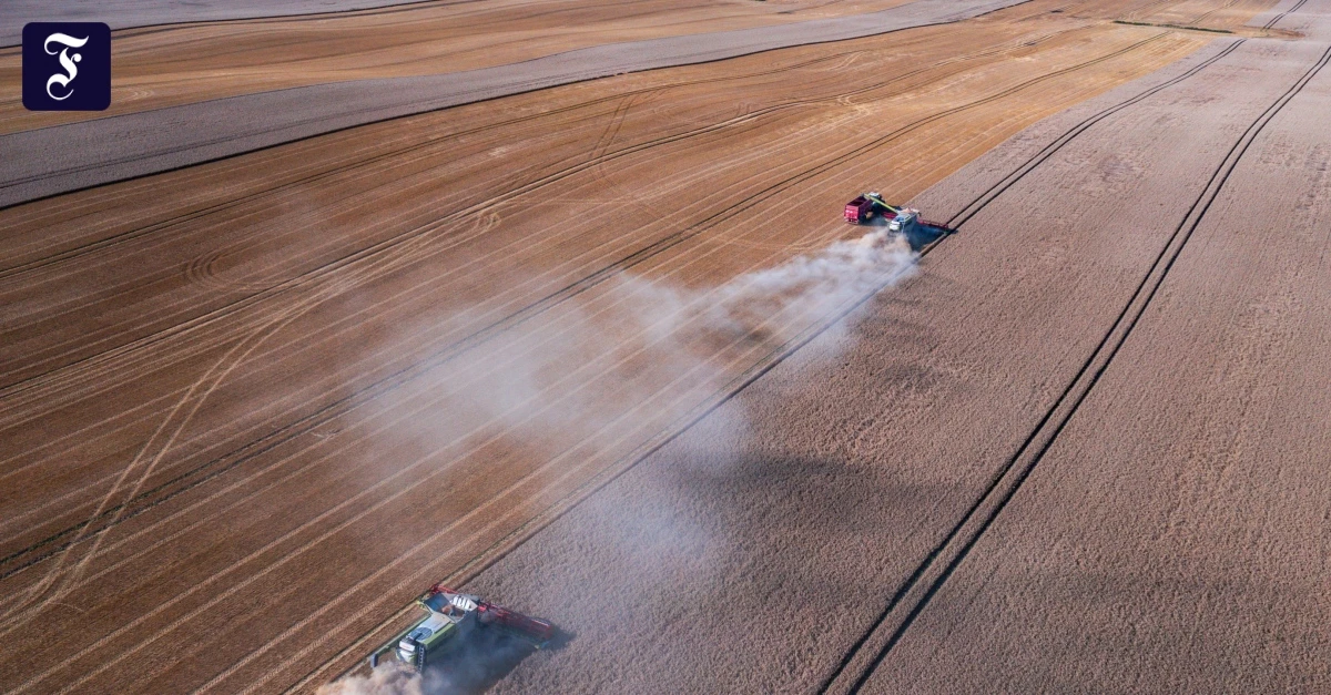 Umweltverschmutzung: 59 Prozent aller Arten leben unter unseren Füßen – ihr Lebensraum schwindet