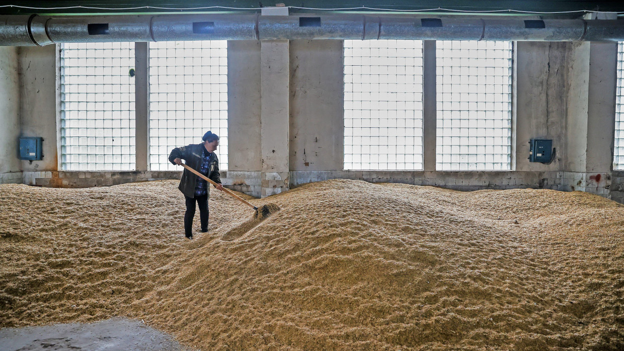 Die Zeit drängt: Möglichst bald müssen die Lager geleert werden, um Platz für die nächste Ernte zu schaffen.