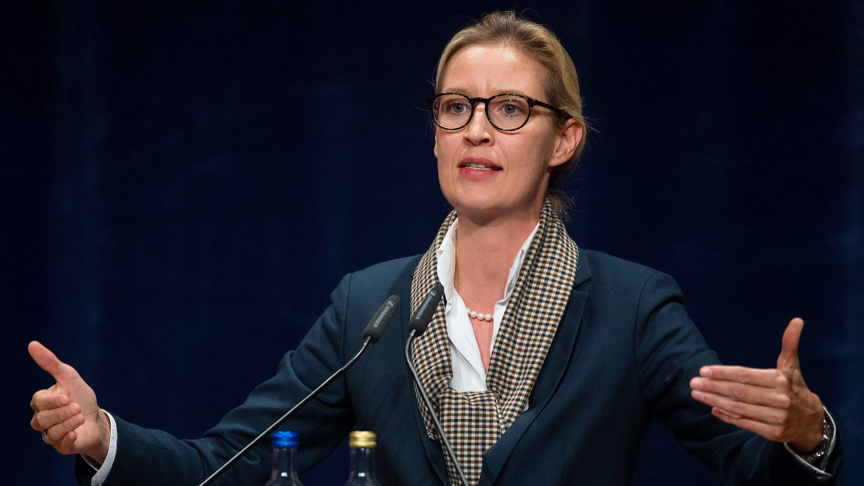 Alice-Weidel-E-Mail: Zerstörung der bürgerlichen Gesellschaft | FAZ
