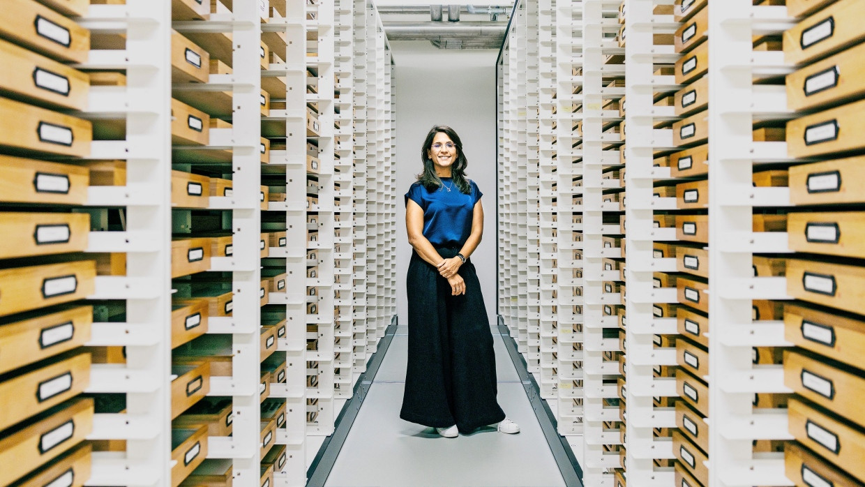 Fachfrau: die Käferexpertin Marianna Simões in der Sammlung des Senckenberg-Instituts