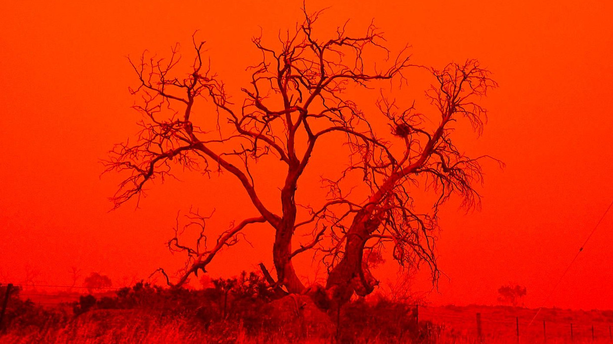 Buschfeuer in Australien: Die Menschheit wird sich mit solchen Ereignissen zunehmend arrangieren müssen. Buschfeuer in Australien: Die Menschheit wird sich mit solchen Ereignissen zunehmend arrangieren müssen.