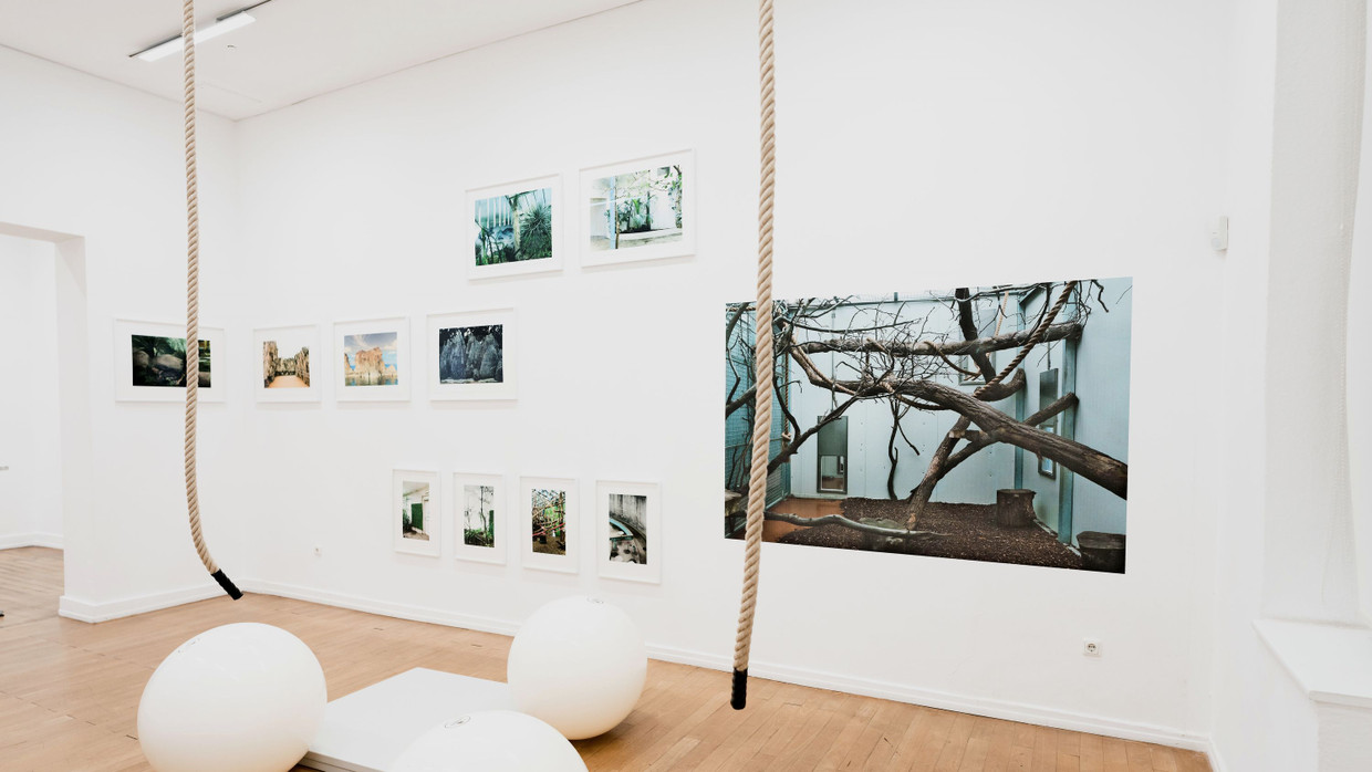 Nassauischer Kunstverein Wiesbaden Bergbau, Blusen, blaue Blume