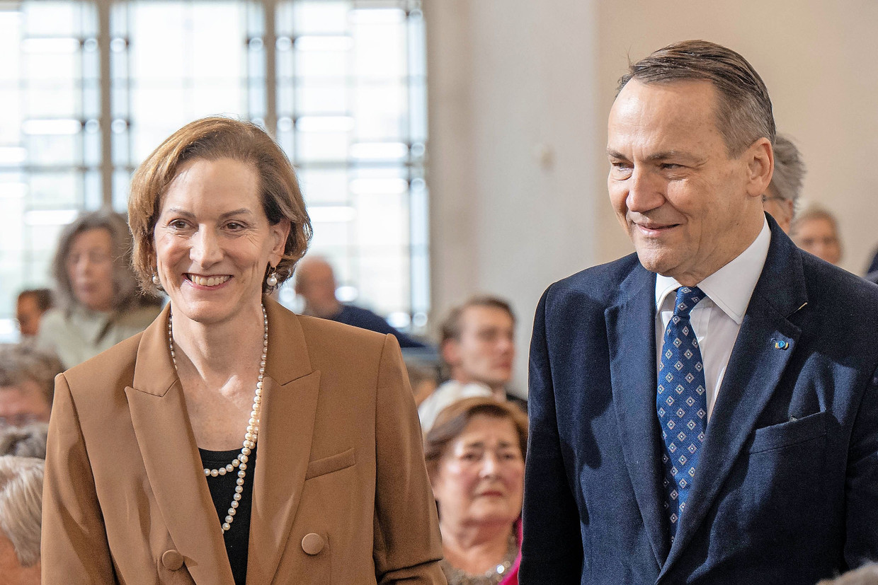 die historikerin und der prinz yi rim