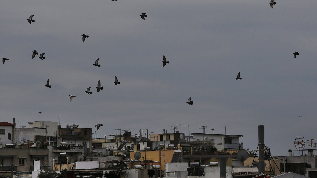 Vögel in Athen Vögel in Athen