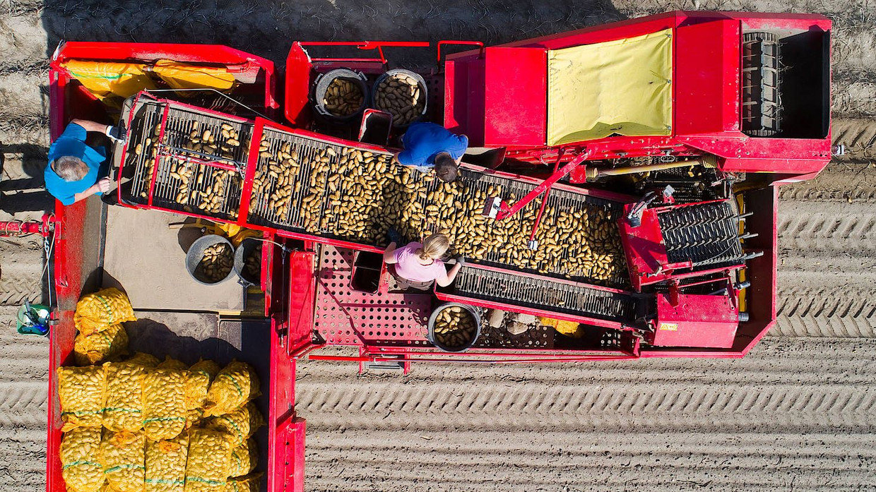 Das laufende Jahr war kein gutes Erntejahr für die Bauern, berichtet der Bauernverband.