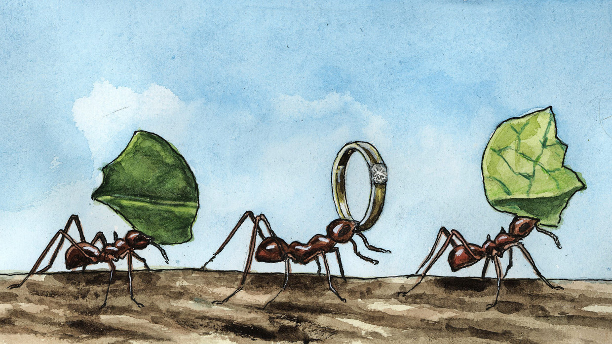 Wagt der Sachverständigenrat zur Begutachtung der gesamtwirtschaftlichen Entwicklung einen gesetzeswidrigen Vorstoß?