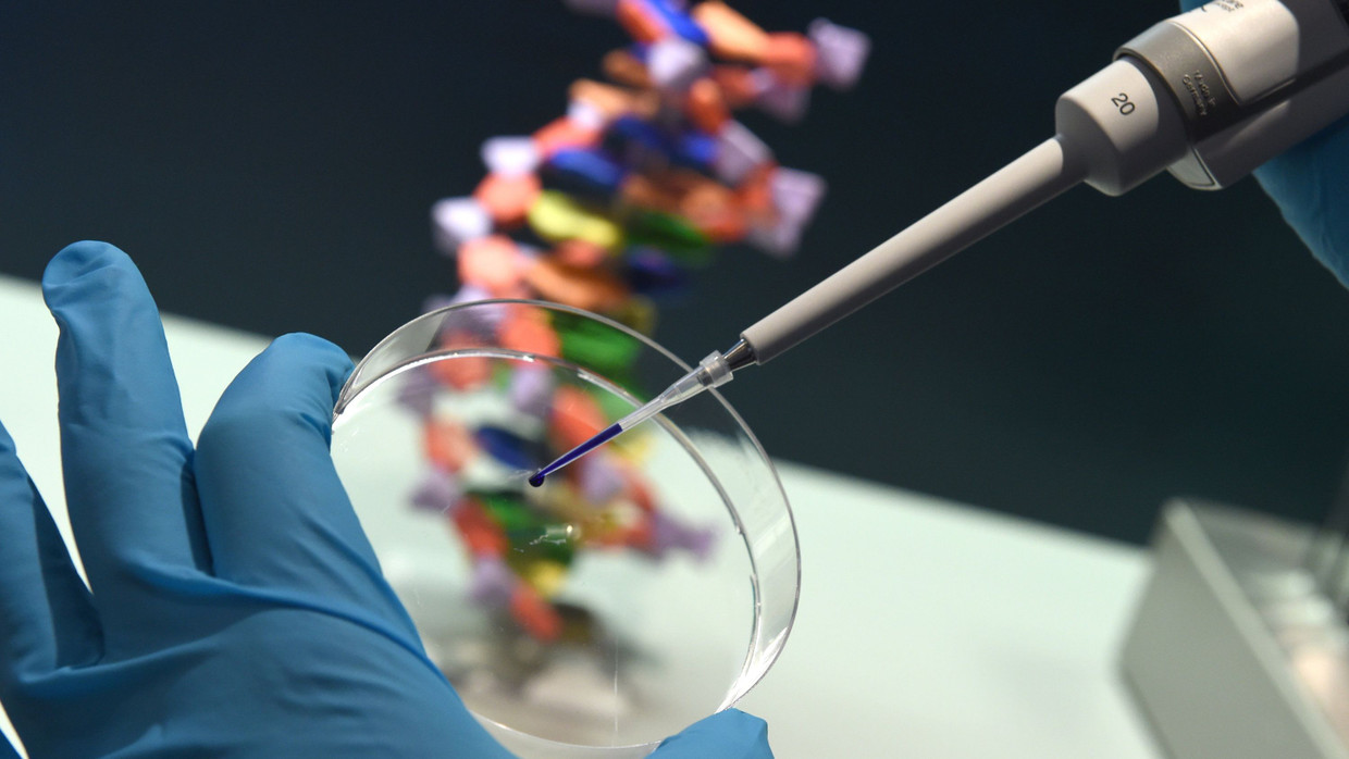 Biologen versuchen im Labor künstliche Zellen aufzubauen, die sich am Ende selbständig teilen und verändern. Wenn die Forschung das Stadium der Grundlagenforschung überwunden hat, stellen sich Fragen nach Nutzen und Risiko.