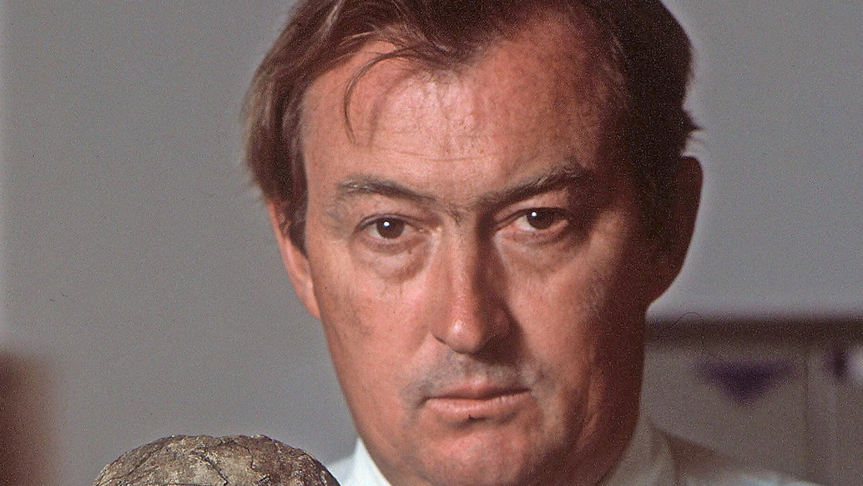 Aufrecht: Richard Leakey 1985 mit Schädeln des Homo erectus Aufrecht: Richard Leakey 1985 mit Schädeln des Homo erectus