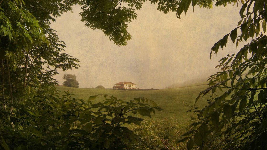 Die Welt der Grünen ist idyllisch, denn sie haben recht. Wirklich? Die Welt der Grünen ist idyllisch, denn sie haben recht. Wirklich?