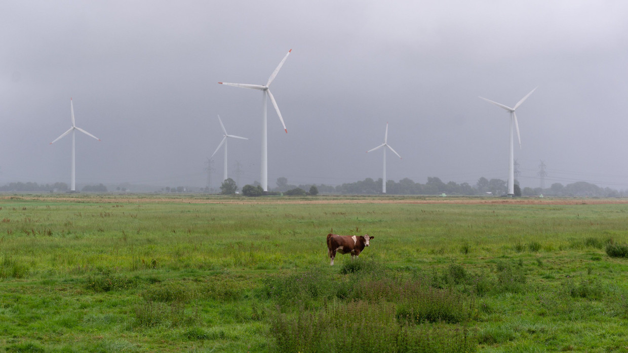 Im Norden ist mehr Wind: Windräder in Schleswig-Holstein Im Norden ist mehr Wind: Windräder in Schleswig-Holstein
