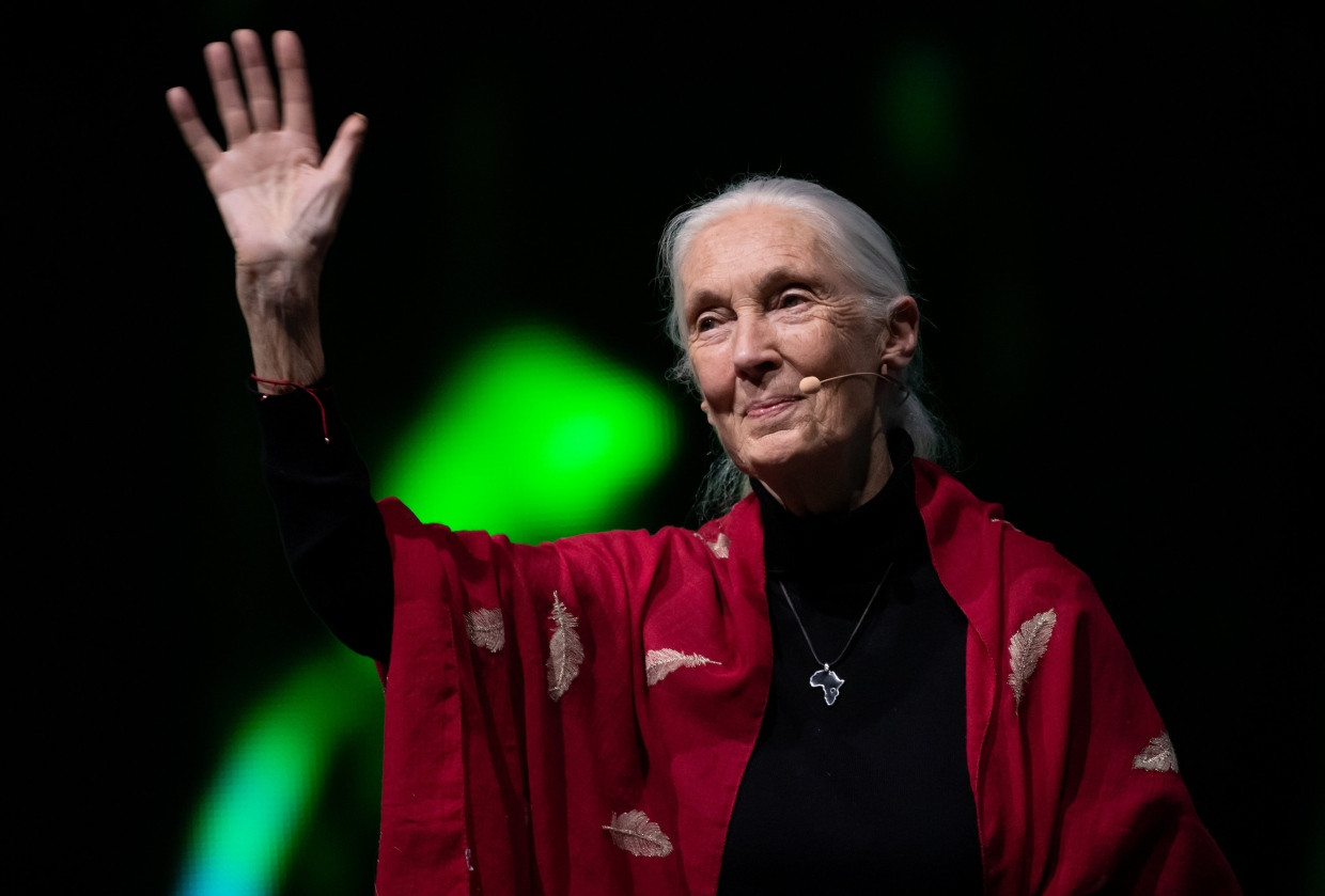 Botschaft der Hoffnung: Jane Goodall 2019 bei ihrem Vortrag mit dem Titel „Reasons for Hope“ in München