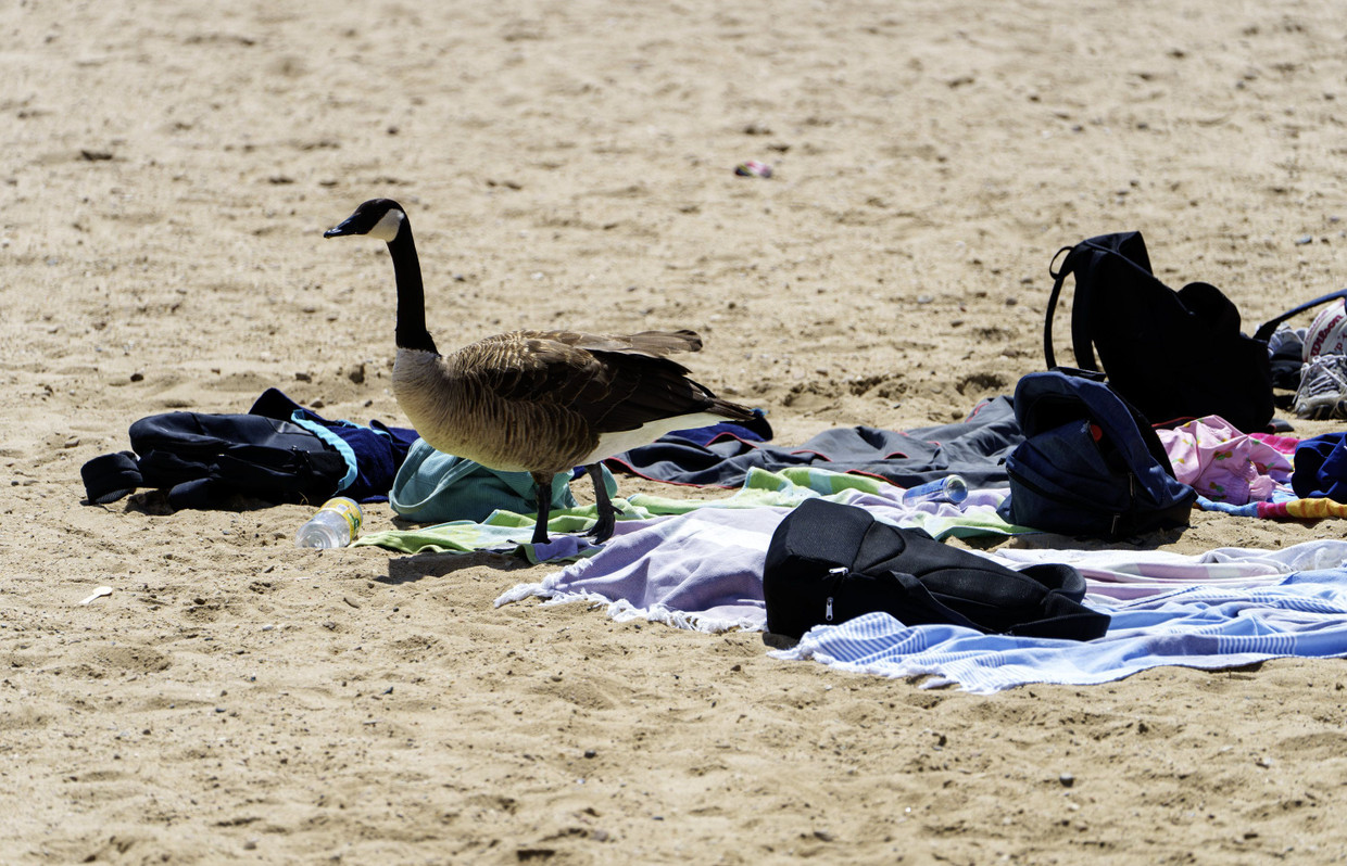 Dezi stormz onlyfans her photos are spot on, but shes way