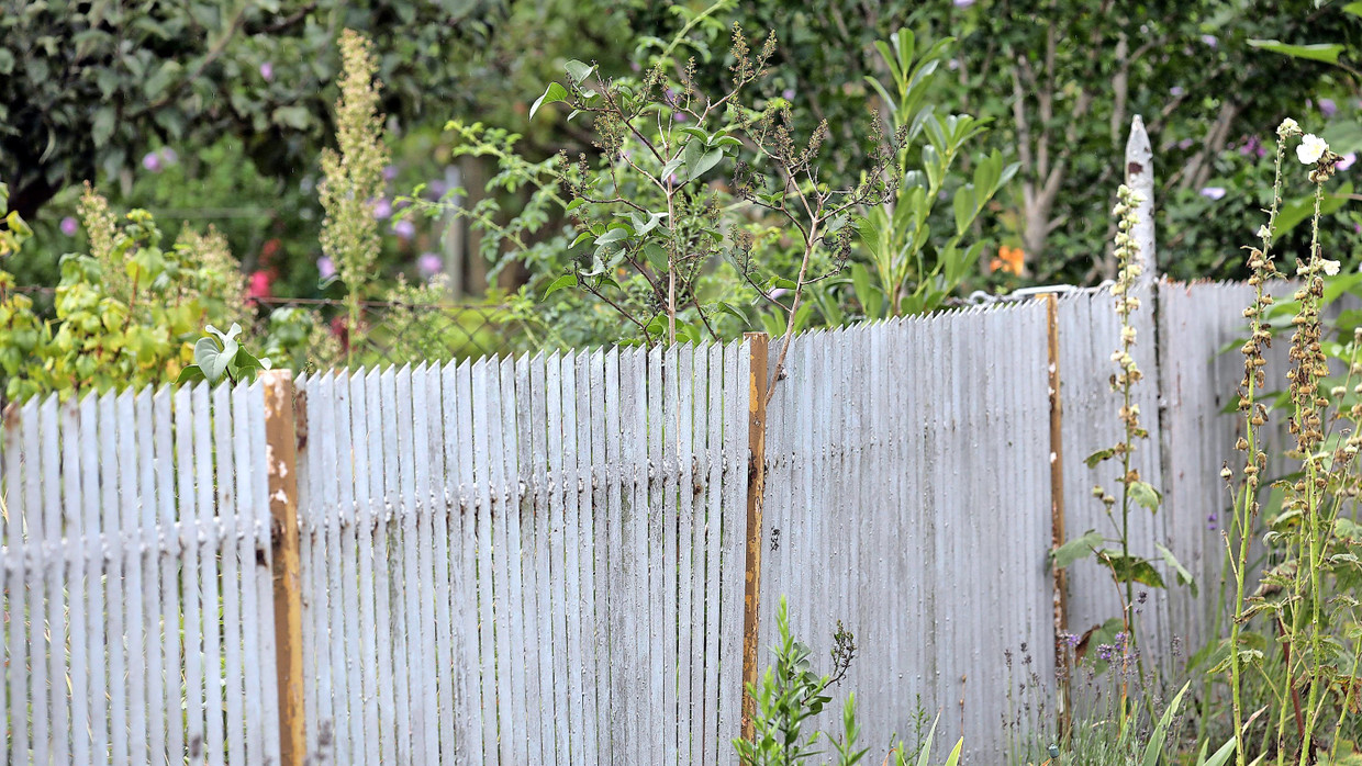 An der Grenze: Immer wieder gibt es zwischen Nachbarn Streit.