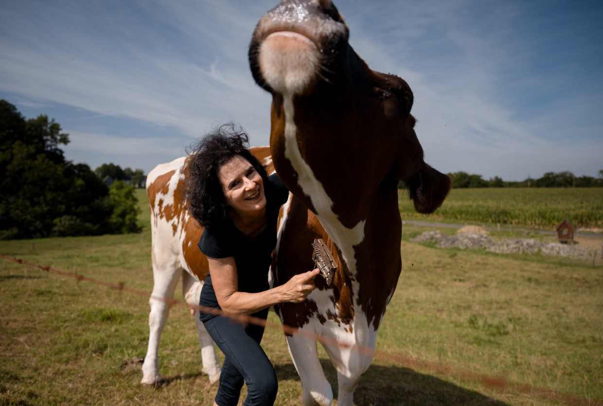 Das Dilemma der Landwirte ist am Ende auch das Dilemma von Meyer-Lohr – hier mit Amanda. Sie kann nicht alle Kühe retten.