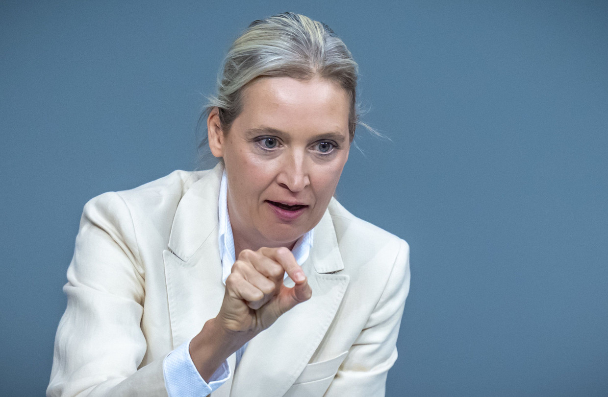Stechender Blick: Alice Weidel im Bundestag