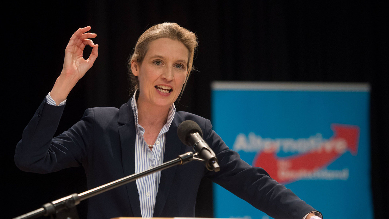Alice Weidel: AfD-Politikerin rät „Ja“-Sagern zur Rückkehr in die Türkei |  FAZ
