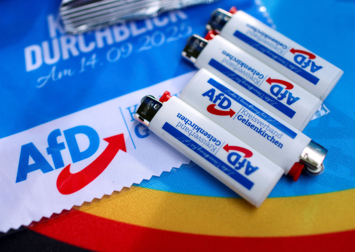 Muss das Bundesverfassungsgericht Zündel-Alice das Handwerk legen?