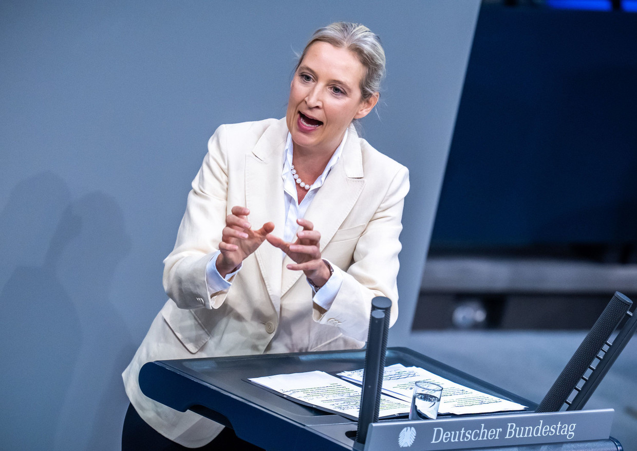 Lässt angeblich juristische Schritte prüfen: AfD-Chefin Alice Weidel, hier bei einer Rede im Bundestag am 16. Oktober.