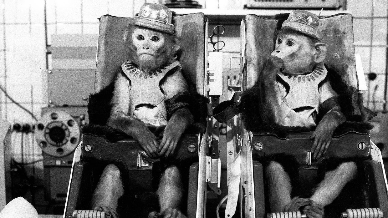 Zur Abwechslung keine Ente: Werni und Gordi flogen im Juli 1985 wirklich für die Russen ins Weltall.