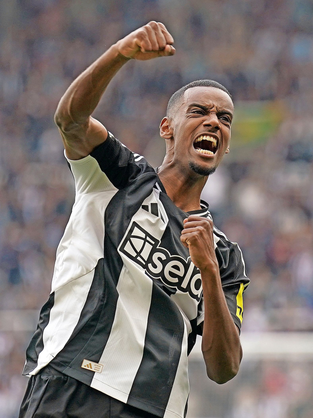 Transferimi i Regjistrimit: Alexander Isak