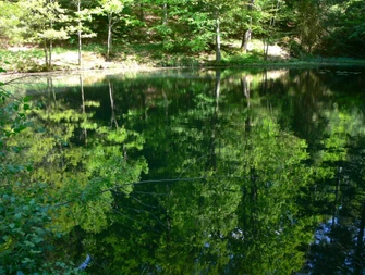 Der Spessart besitzt keine natürlichen Seen. Die meisten gehen auf die Anlage zum Wässern von Eichenstämmen zurück.