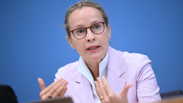 Ohne Wahlchance: Frauke Brosius-Gersdorf